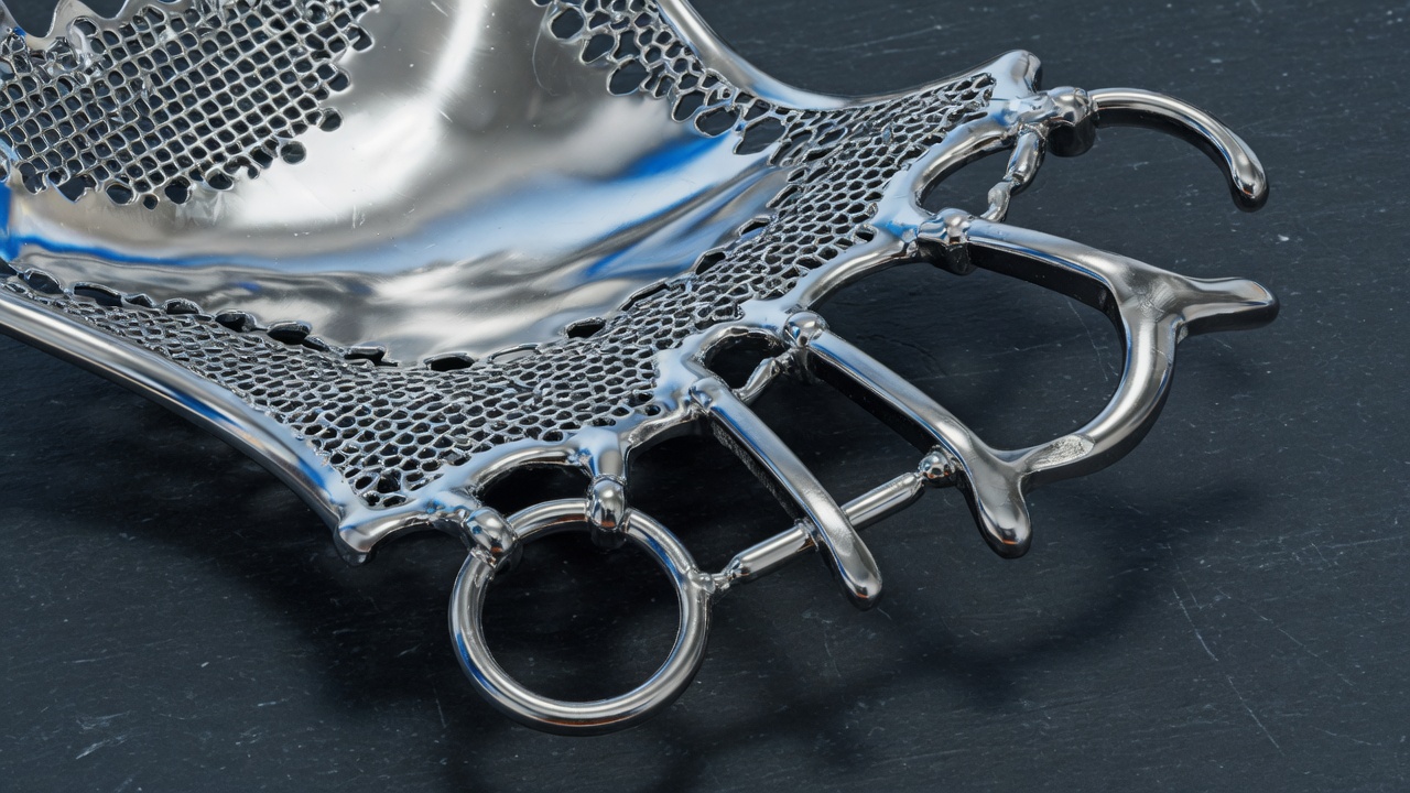 Armature chrome-cobalt d'une prothèse à palais métal (stellite)